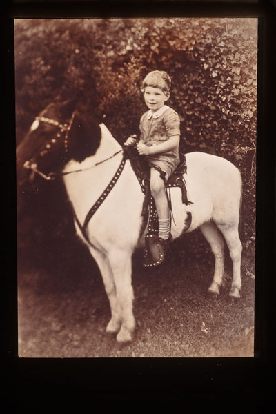 Digitizing Your Photos with Your Camera and Lightroom