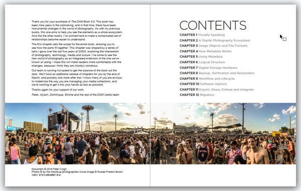 The DAM Book 3.0 PDF